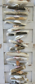 Driftwood & Shell 6' Garland